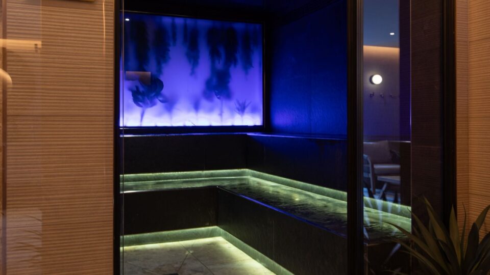 PMAX-1200&times;628-seaweed-sauna